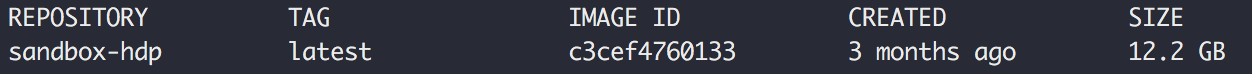 docker images - sandbox-hdp 