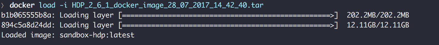 Docker load Hortonworks Sandbox image
